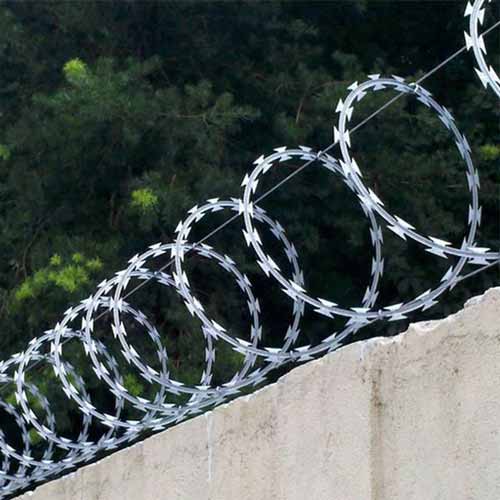 Free Sample Galvanized Concertina Razor Wire Price